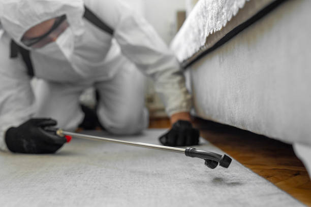 Professional Cockroach Control technician working in Harbor Beach, MI
