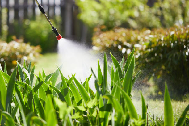 24/7 Emergency Cockroach Control experts in Harbor Beach, MI